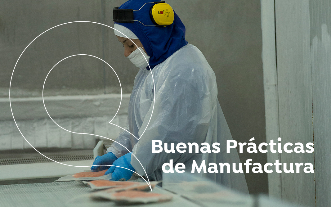 Buenas Prácticas de Manufactura-VJul2025
