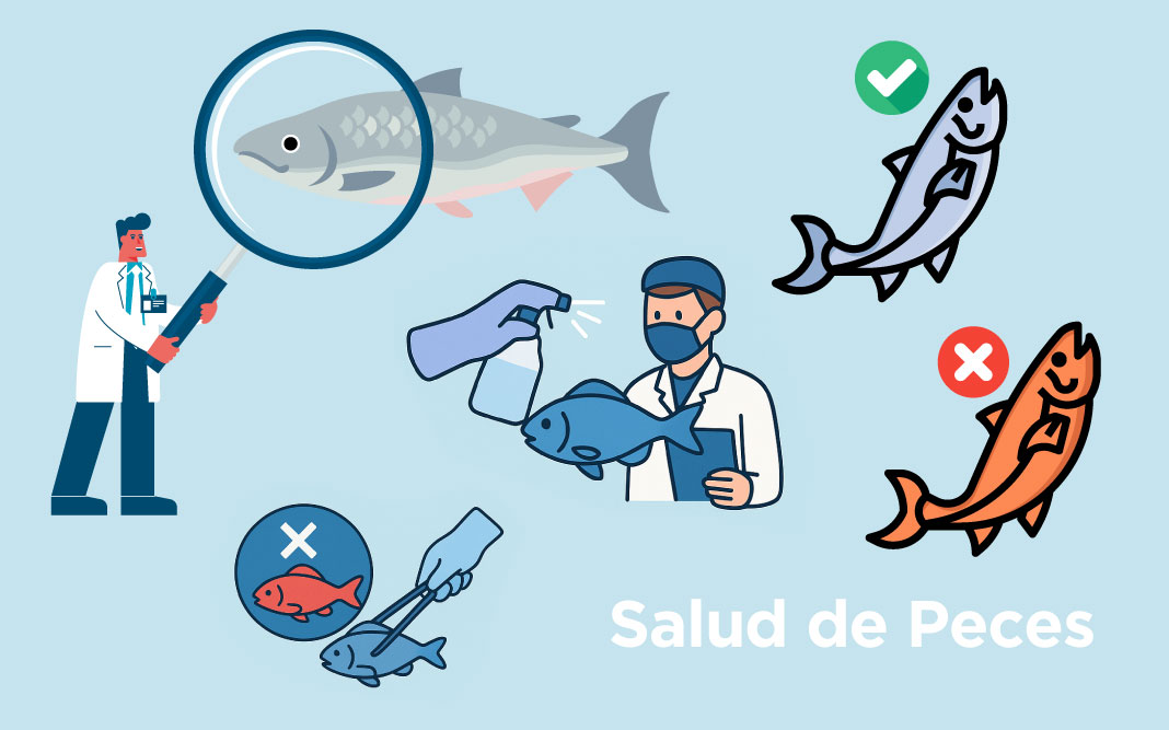  Salud de peces